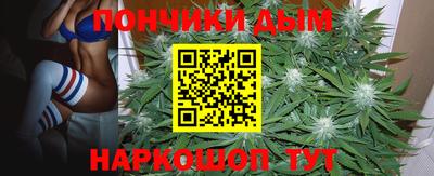 шишки Тверь