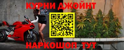 шишки Тверь