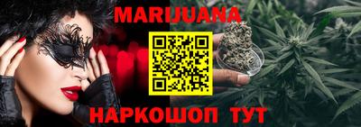 шишки Тверь