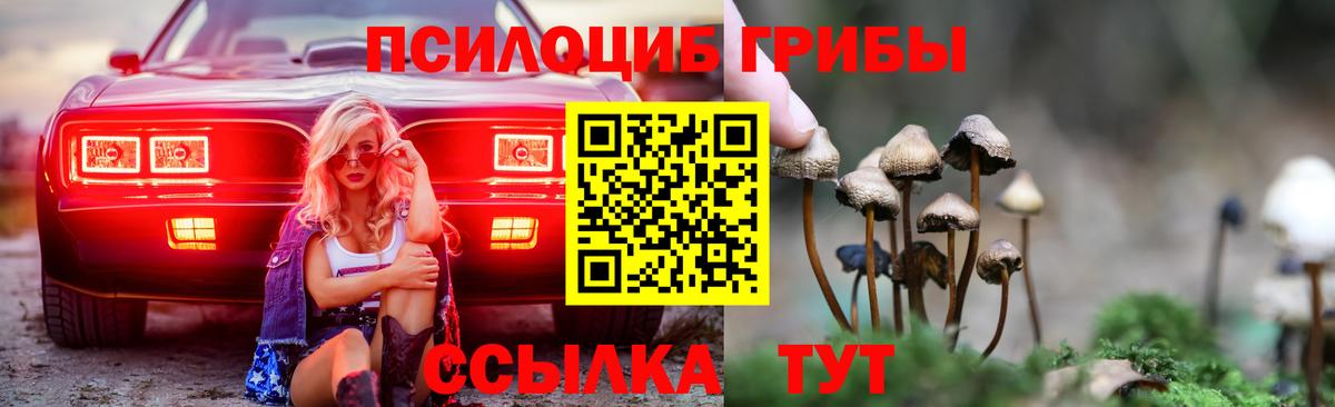 Валуйки  Галлюциногенные грибы Psilocybine cubensis  Галлюциногенные грибы Psilocybe  Вход с VPN 